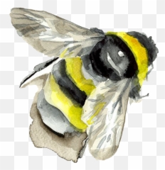 Download Watercolor Painting Insect - Painted Bee Png Emoji,What Do Emoji Lips And Bumble Bee Mean