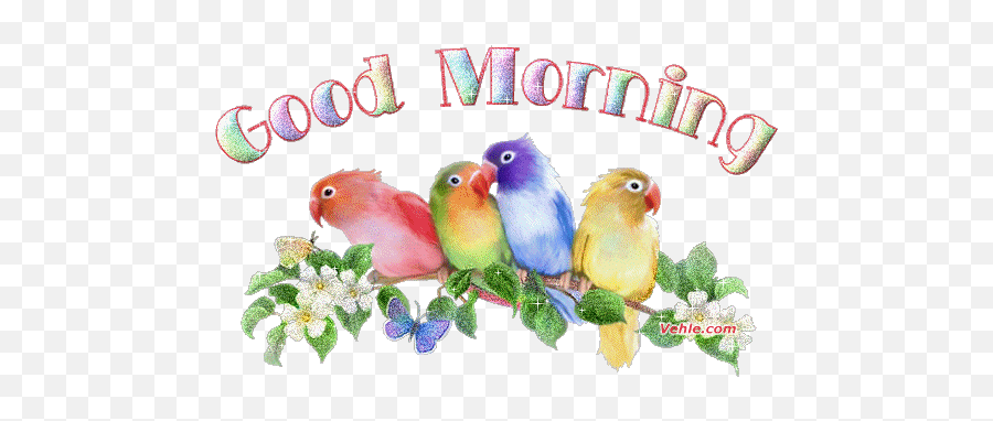Goodmorning - Google Search Good Morning Animation Good Animated Good Morning Images For Whatsapp Emoji,Bird Emoji Gif
