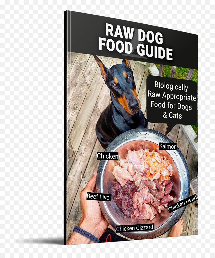 Raw Dog Food Diet Guide - Dog Food Emoji,Emotions By Gizzard