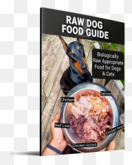 Raw Dog Food Diet Guide - Dog Food Emoji,Emotions By Gizzard