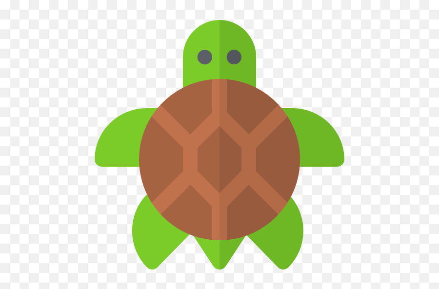 Apps Games - Rùa Icon Emoji,Review Of Every Turtle Emoji