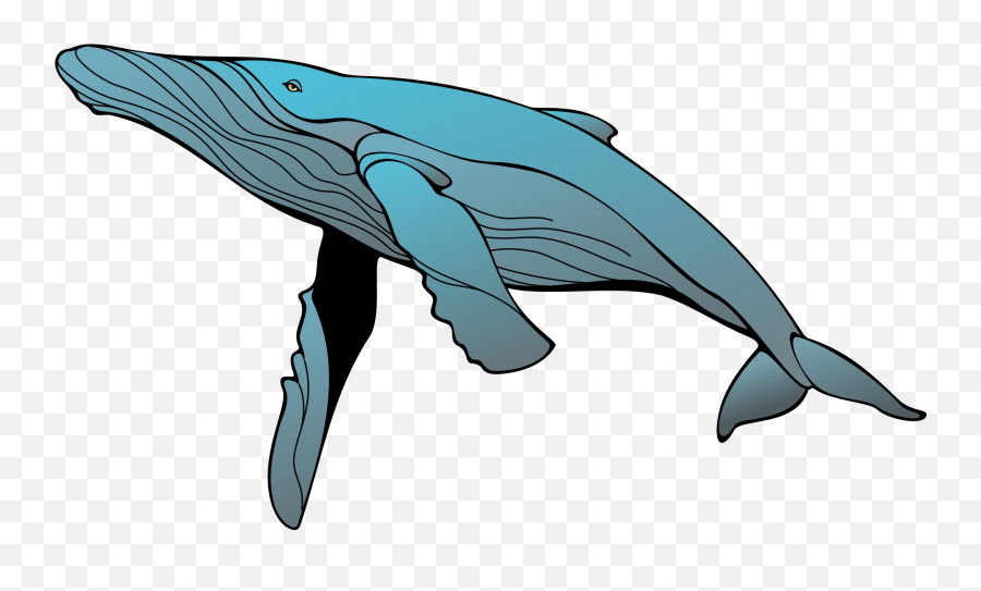 Drawing Of The Blue Whale Clipart Free - Humpback Whale Clipart Emoji,Blue Whales Emotions