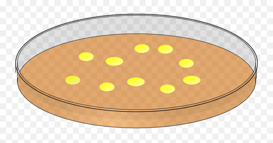 Petri Dish Clipart Free Download Transparent Png Creazilla - Petri Dish With Colonies Drawing Emoji,Emoji Norovirus