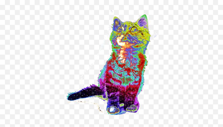 Top Trippy Cats Stickers For Android U0026 Ios Gfycat - Trippy Cat Emoji,Cool Cat Emoji