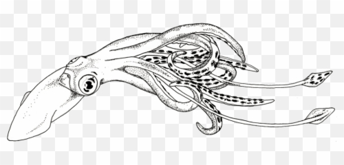 4 Giant Psychic Squid Have Returned - Sketch Emoji,Emotions Explained With Buff Dudes
