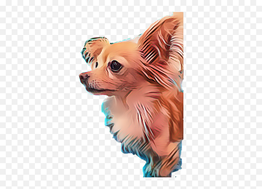 The Most Edited Cinnabon Picsart - Toy Dog Emoji,Cinnabon Emoji