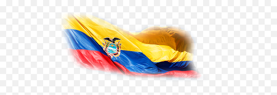 Integrantes Real Car Tuning Team - 26 De Septiembre Día De La Bandera Ecuatoriana Emoji,Aveo Emotion Tuning Ecuador