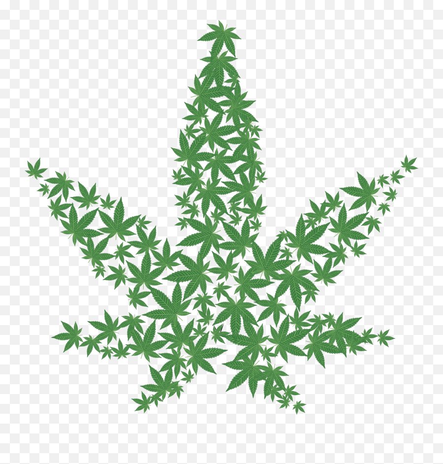 Newskingorg - Alcohol U0026 Drugs Transparent Marijuana Leaf Svg Emoji,Weed Leaf Emoticon