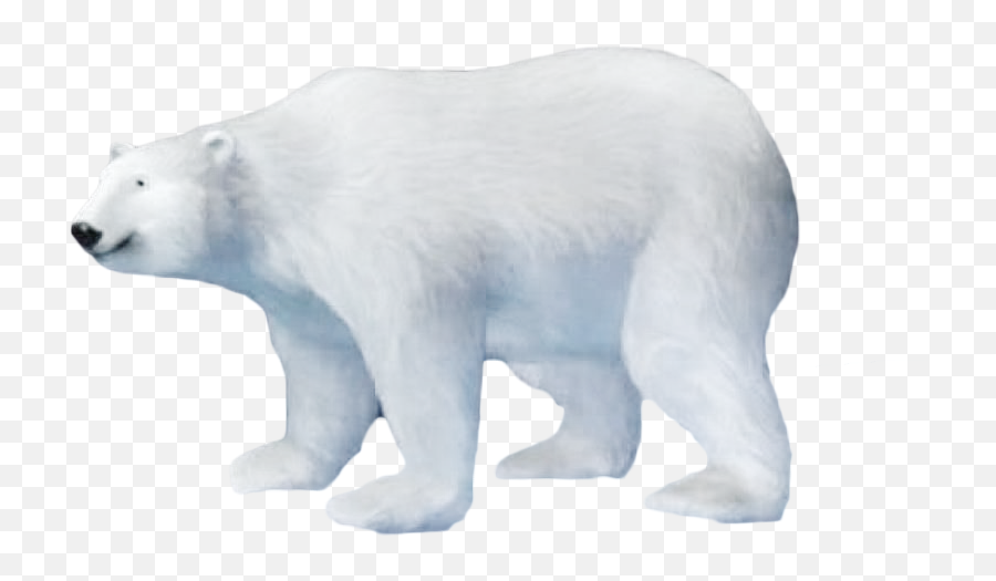 Refugia - Polar Bear Emoji,Geon Emotions
