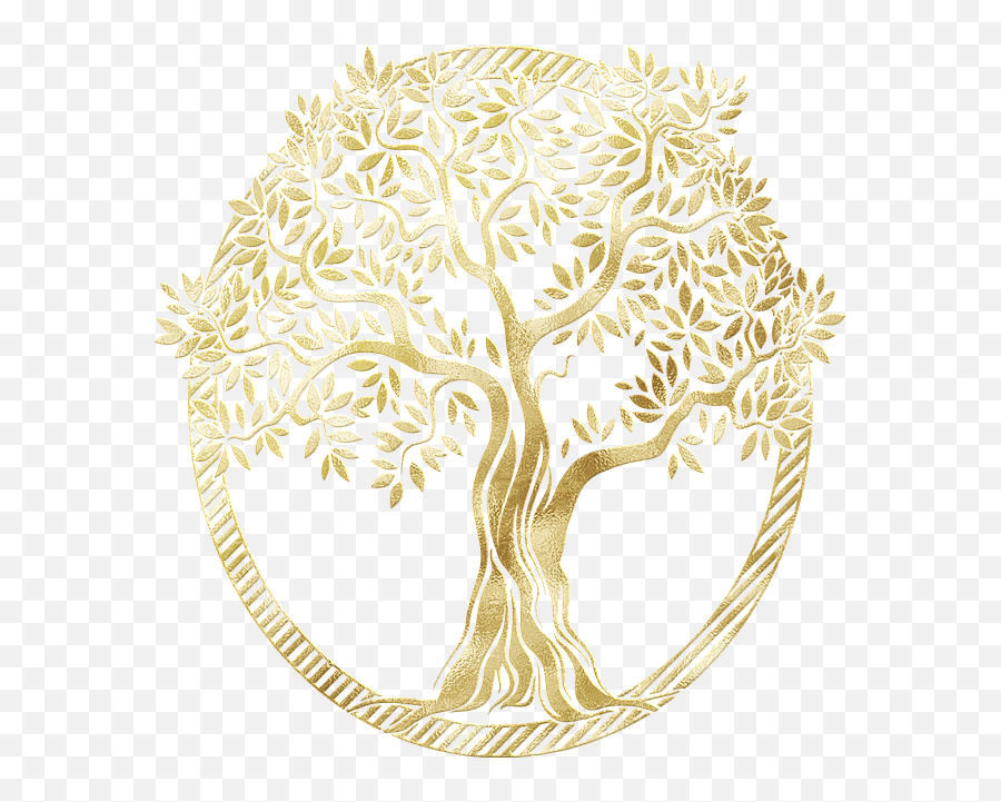 Gratitude Archives Wisdom To Keep Moving - Tree Of Life Emoji,Emotions Linger After Charlottesville