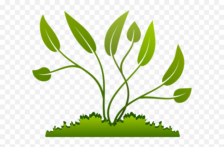 Plants Clipart Transparent Background - Png Download Full Transparent Plants Clipart Emoji,Mlg Emojis Transparent