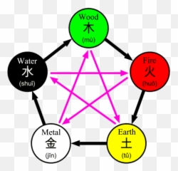 Essential Oils To Balance The Metal Emoji,Chinese Medicine Emotions Organs Chart