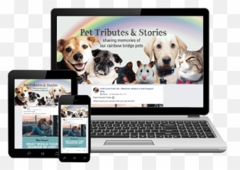 14 Ways To Cope With Pet Loss - Space Bar Emoji,Emotions Lost Your Dog Images