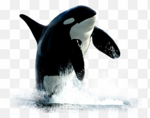 Edit Emoji,Free And Whale Emoji