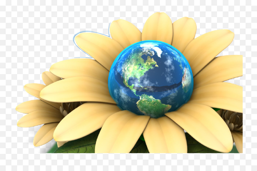 Blossoming Bilinguals - Earth Of Flowers Background Emoji,Azone Emotion And Flection Hybrid