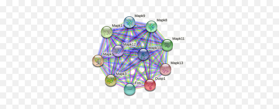 Dusp1 Protein Mouse - String Interaction Network Emoji,Positive Negative Activating And Deactivating Emotions