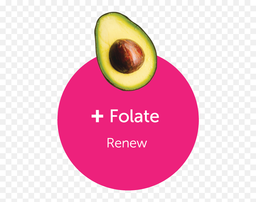 New Zealand Avocado With New Zealandu0027s Vast Coastline Emoji,New Zealnd Emoji