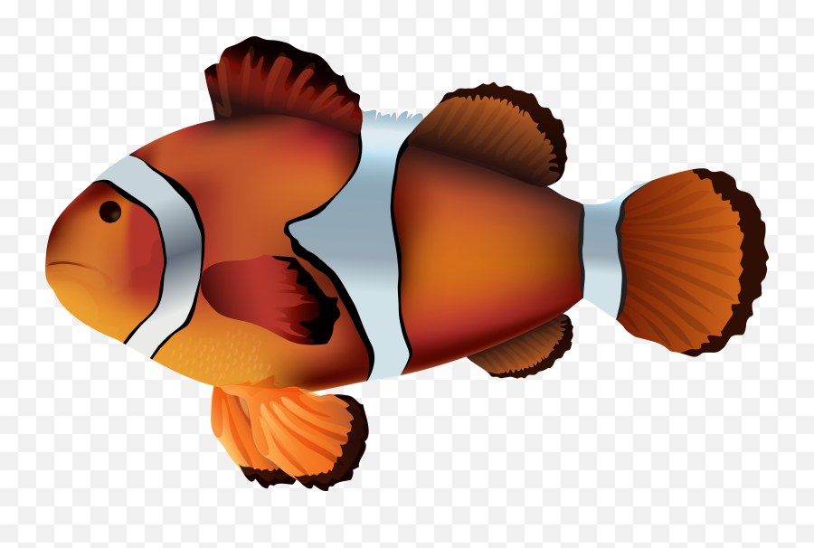 Clipart Fish Frame Clipart Fish Frame Transparent Free For - Transparent Background Clownfish Png Emoji,Fishing Emoji Gif