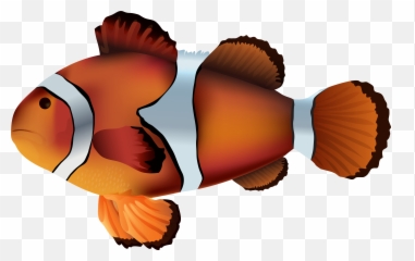 Clipart Fish Frame Clipart Fish Frame Transparent Free For - Transparent Background Clownfish Png Emoji,Fishing Emoji Gif