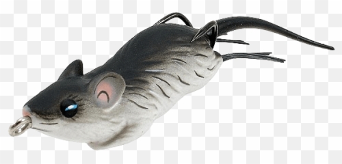 Hawaii Nearshore Fishing - Animal Figure Emoji,Xesta Slow Emotion Rods