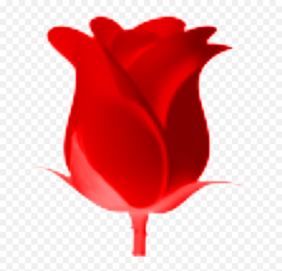 Red Follow Flores Flower Red Redflower Sticker By S1 - Rose Emoji,Red Flower Emoji