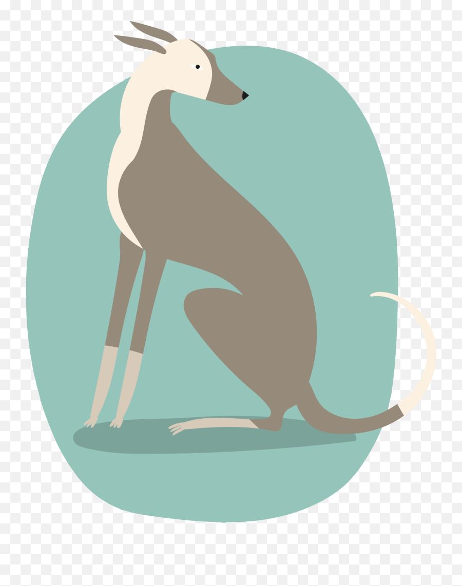 Greyhound Clipart Free Download Transparent Png Creazilla - Animal Figure Emoji,Greyhound Emoji