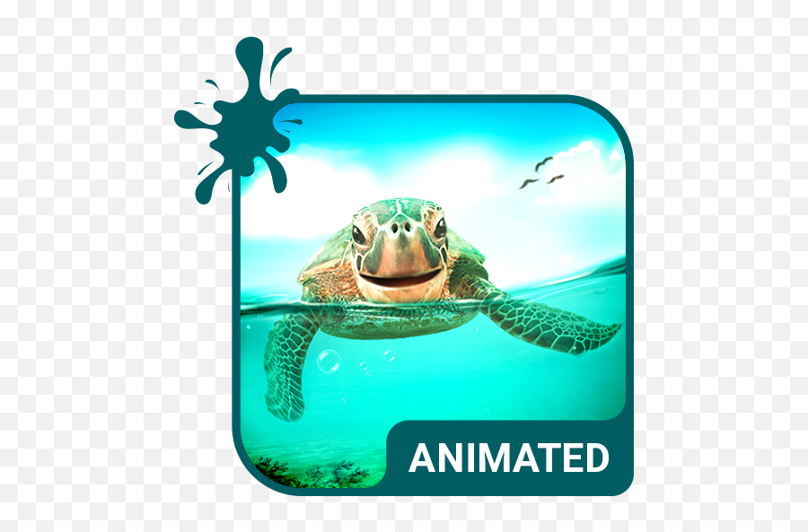 Cute Turtle Animated Keyboard Live - Icon Emoji,Google Turtle Emoji