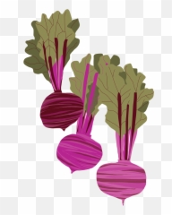 Beet It - Beets Illustration Emoji,Beets Emoji