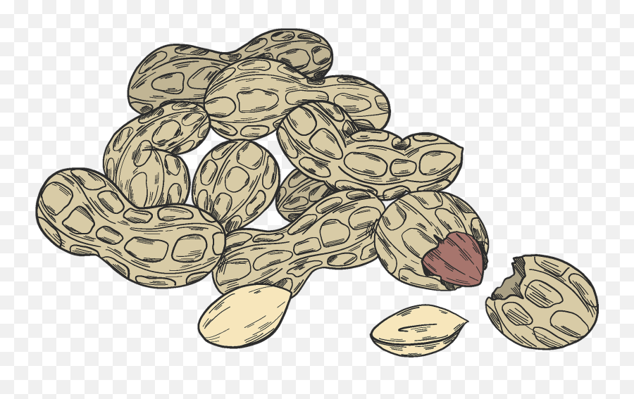 Peanuts Clipart - Superfood Emoji,Peanut Emoji Hoqw To Draw