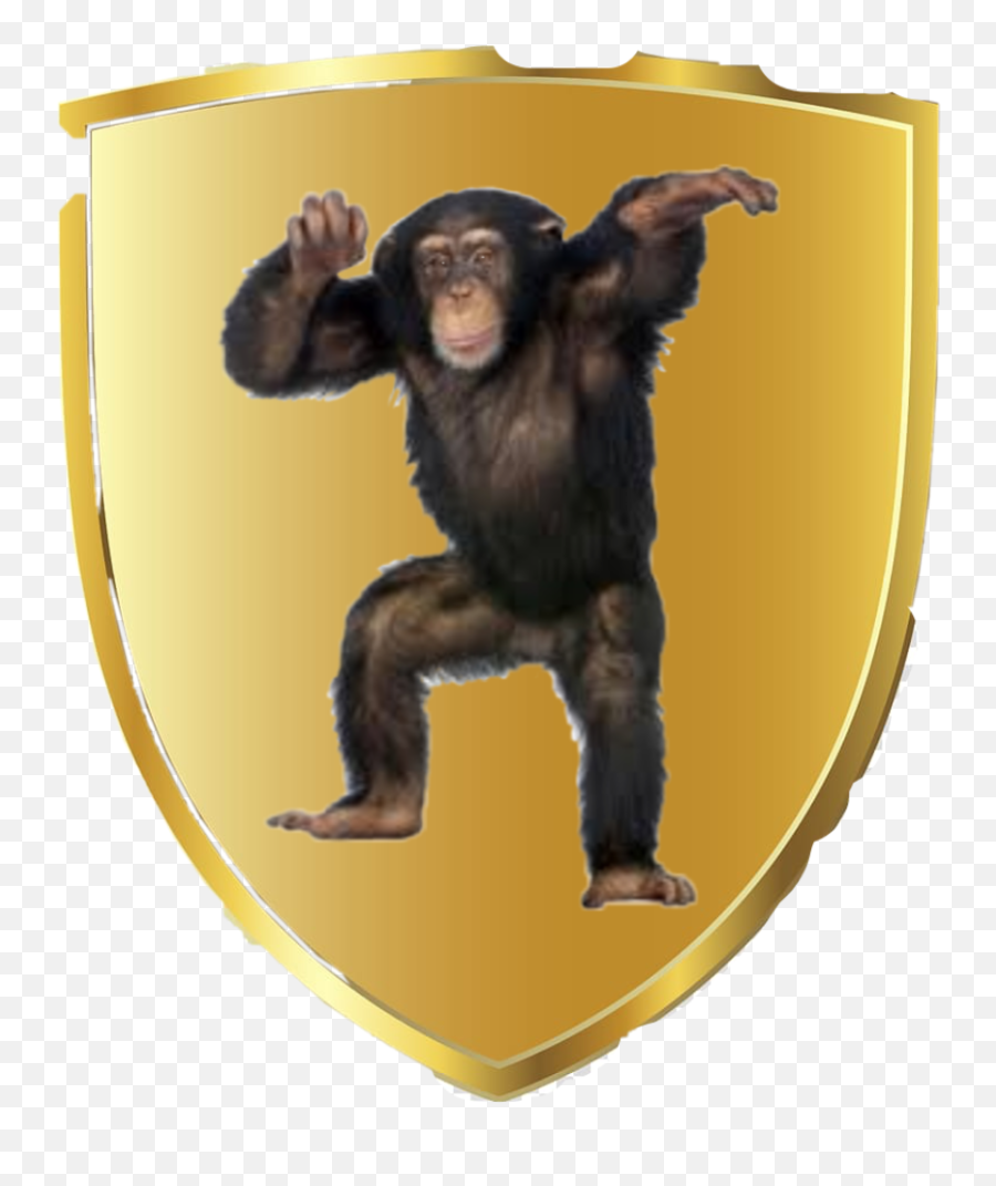 Discover Trending - Were Up All Night To Get Munkey Emoji,Do Chimps Have Emotions Do Chimps Create And Use Tools