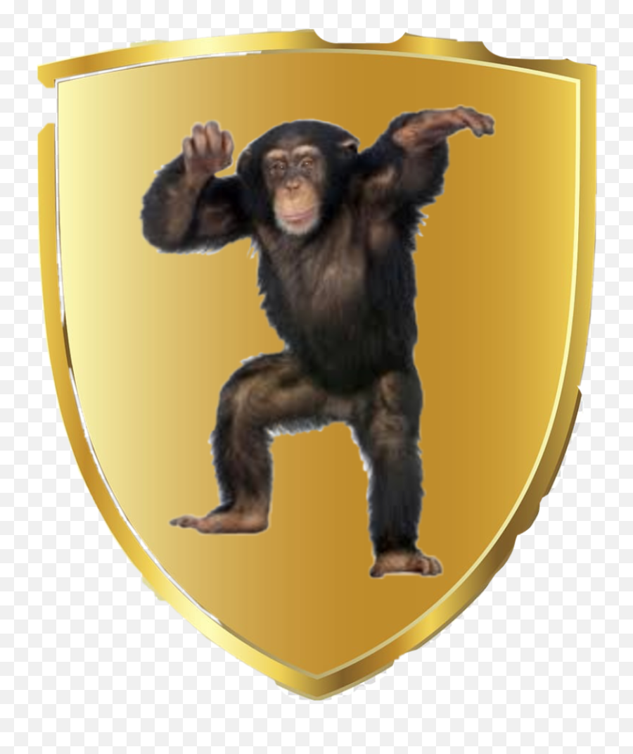 Discover Trending - Were Up All Night To Get Munkey Emoji,Do Chimps