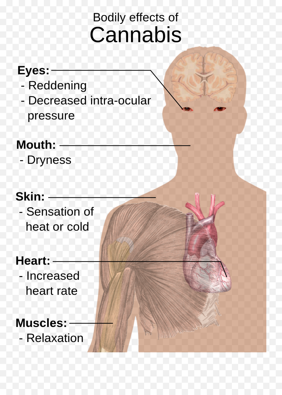 Drug Abuse Alcoholism Opioids Cocaine And More Lecturio - Effects Of Cannabis Diagram Emoji,Marijuana Affects Your Emotions