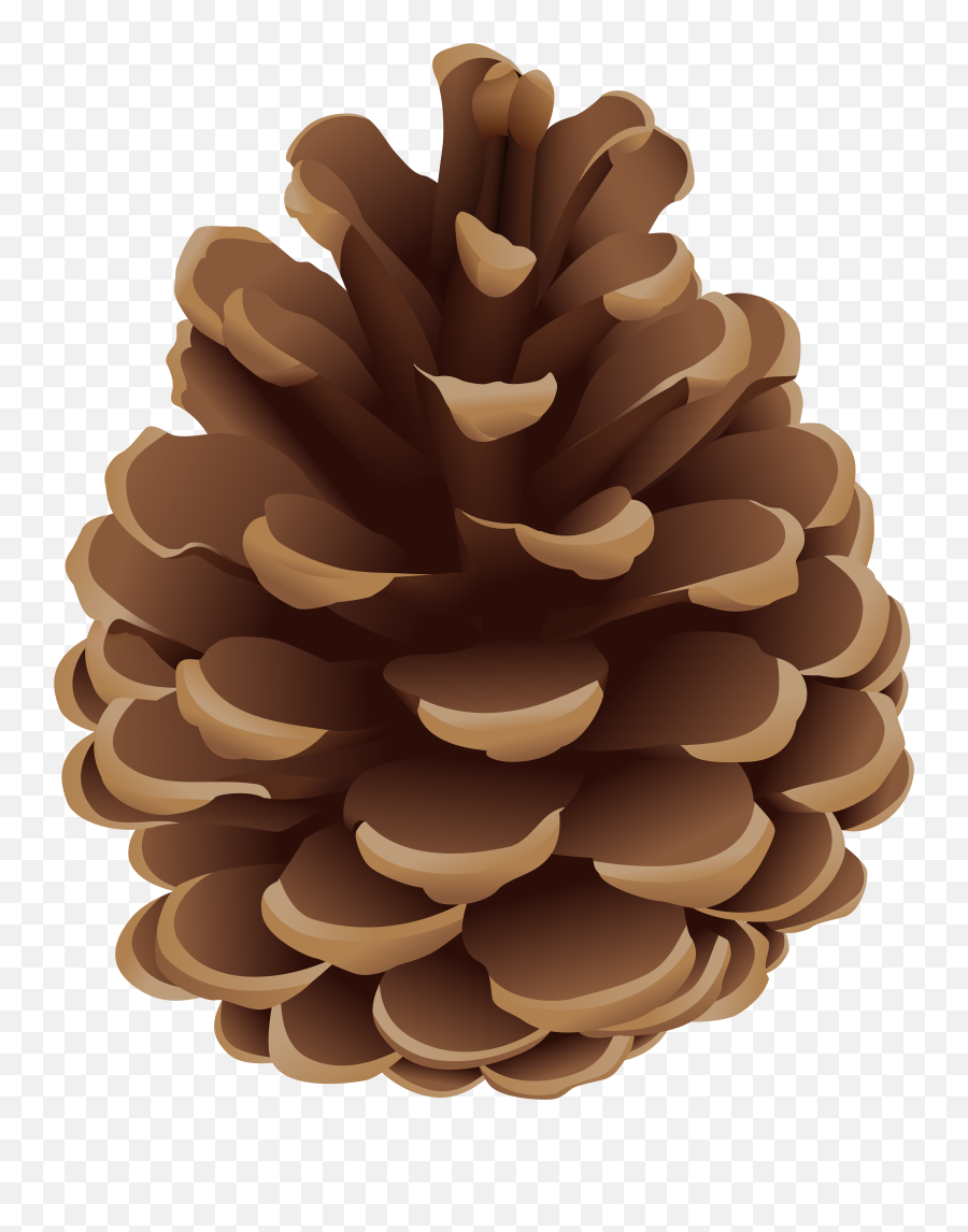 Pinecone Clipart Png Images Emoji,Pine Cone Emoji Png