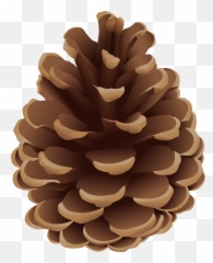 Pinecone Clipart Png Images Emoji,Pine Cone Emoji Png