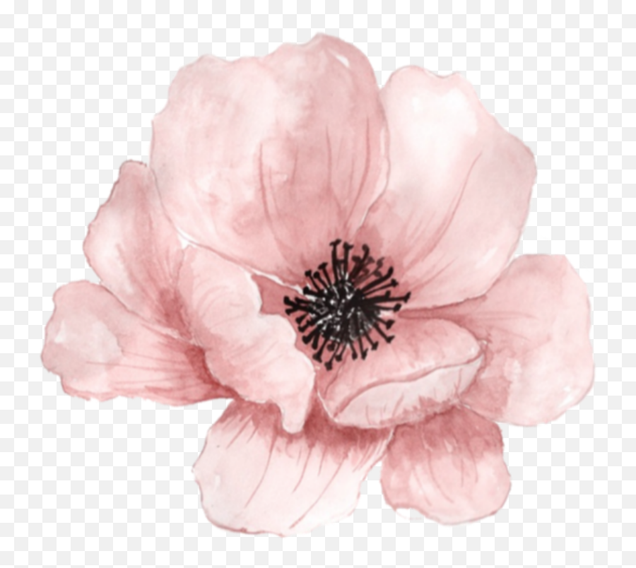 The Most Edited Flowers Picsart - Pink Flower Sticker Picsart Emoji,White Flowers Twitter Emoticon