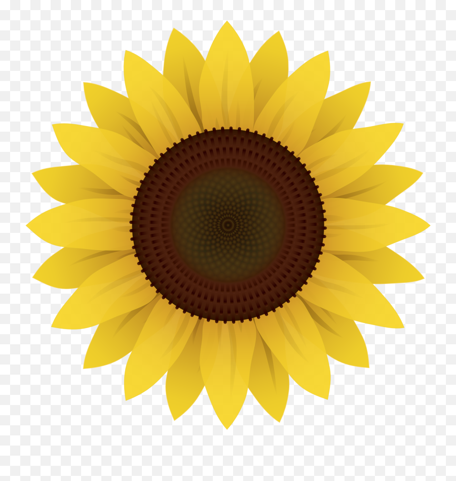 Sunflower - Clipart Sunflower Emoji,Facebook Sunflower Emoticons