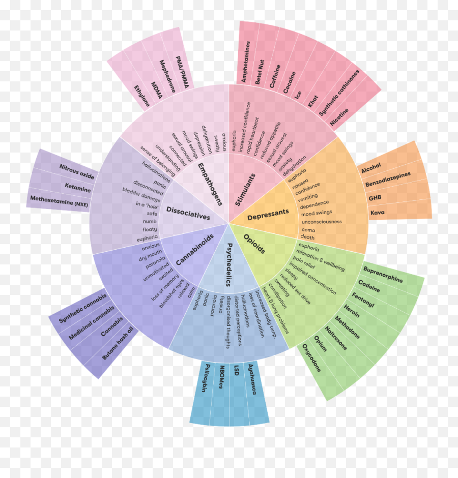 Drugs Wheel - Australian Drug Foundation Drug Wheel Emoji,Emotion Wheel Imgur