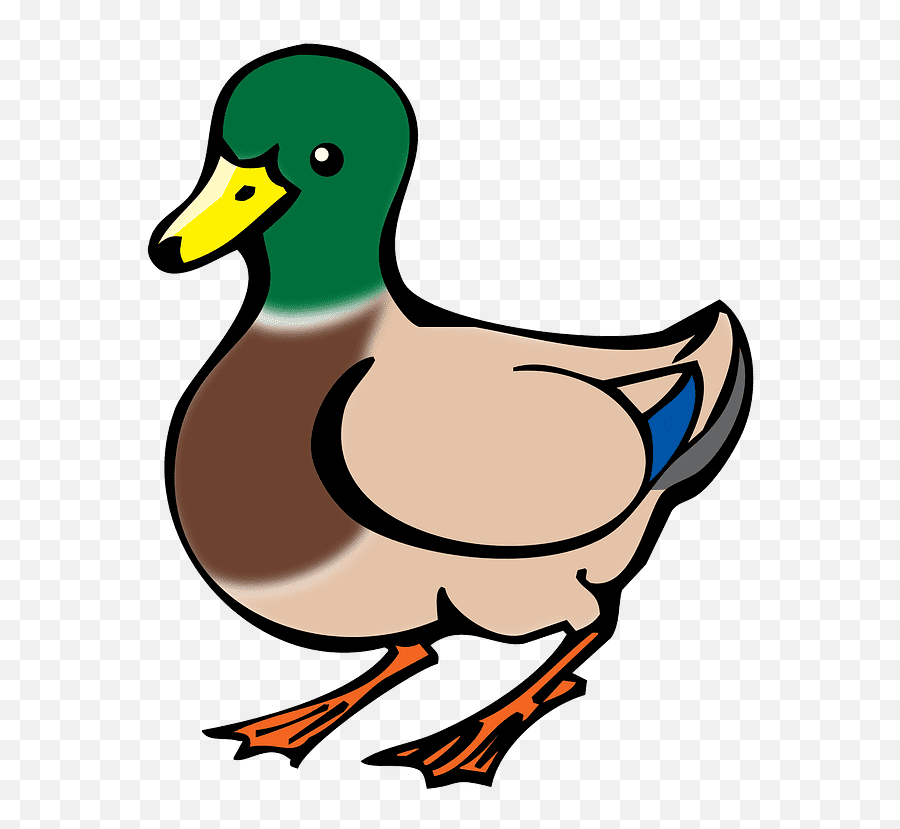 Mallard Duck Clipart Transparent 9 - Clipart World Emoji,Duck Emoji No Background