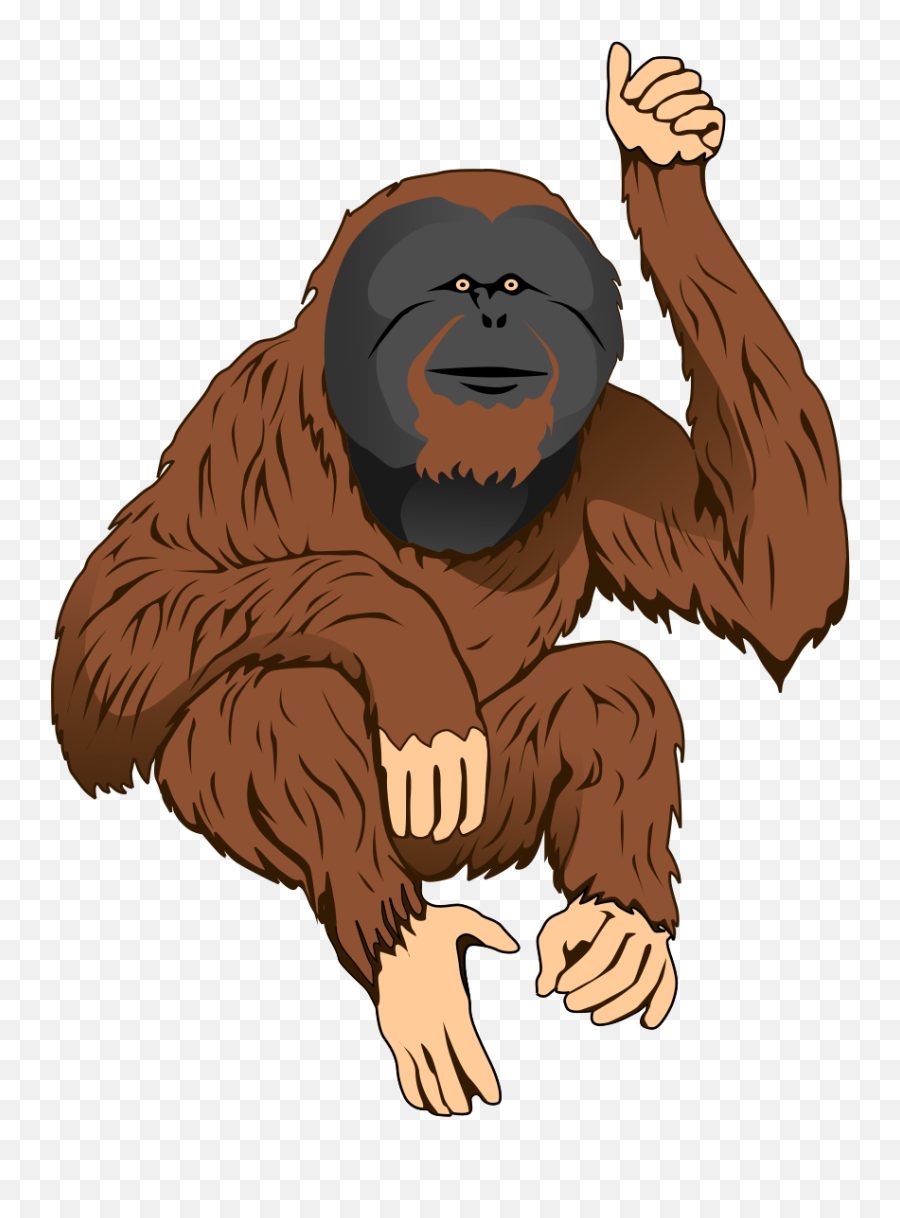 Free Gorilla Cartoon Png Download Free Gorilla Cartoon Png Emoji,Orangutan Emoji