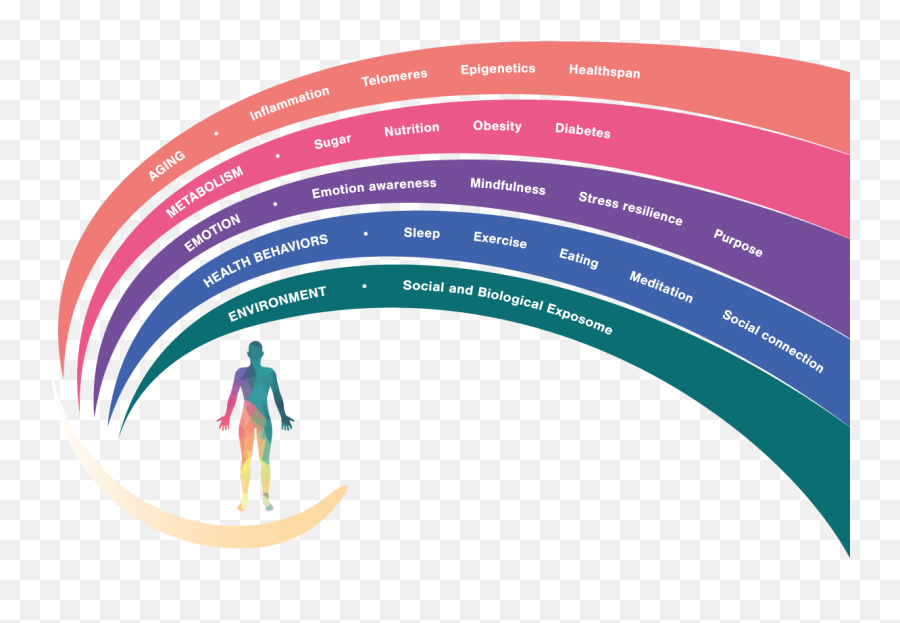 Aging Metabolism And Emotion Center - Dot Emoji,G Emotion Final