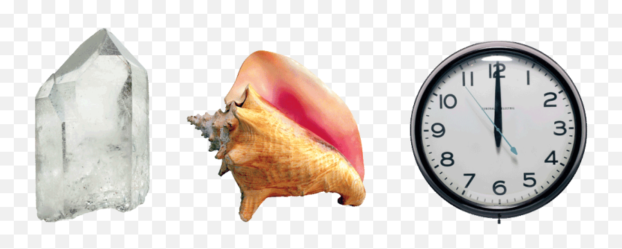 June 2011 Dogsmeat - Conch Shell Beach Emoji,Emoticon Angustia