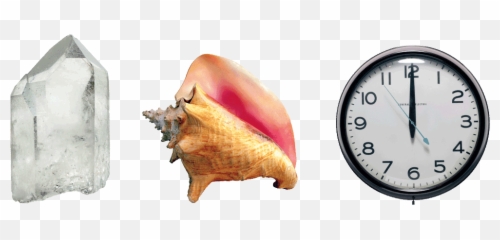 June 2011 Dogsmeat - Conch Shell Beach Emoji,Emoticon Angustia