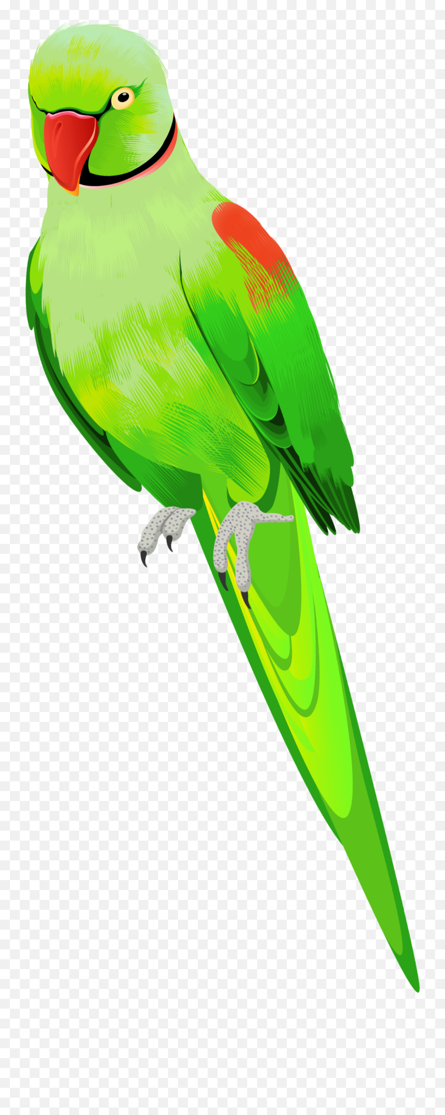 Ftestickers Bird Parrot Green Sticker Emoji,Parrot Emoji
