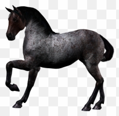 Black Starc Black White Heart Sticker - Png Tumblr Emoji Coração,Where Is The White Heart Emoji