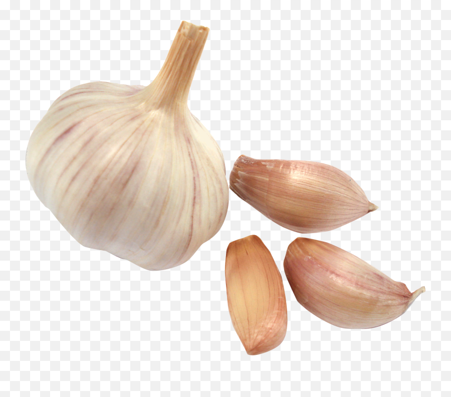 Garlic Png Images Transparent Free Download Pngmartcom Emoji,Garlic Emoticon