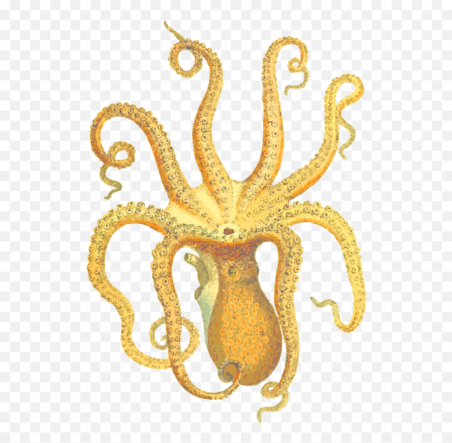 Openclipart - Clipping Culture Emoji,Octopus On Head Emoticon -emoji