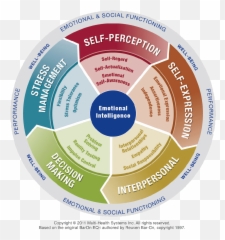 Emotional Intelligence - Zentralfriedhof Emoji,Assessing Emotions Scale
