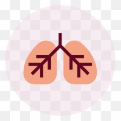 Dnafit Training And Nutrition Academy Pro Fit Test Emoji,Emoji Dna Png