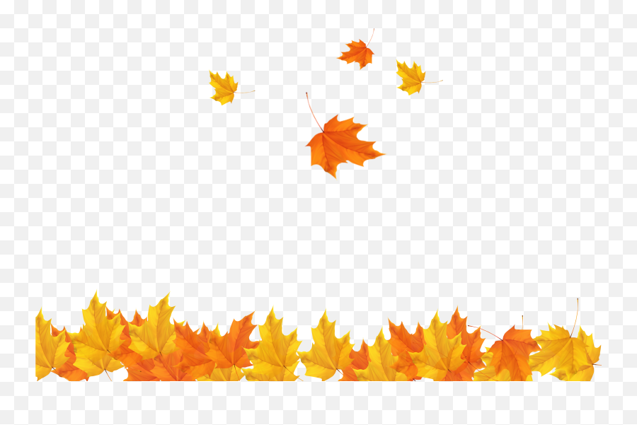 Autumn Leaf Clip Art - Transparent Background Autumn Leaves Png Emoji,Emoji Leaves And Beer