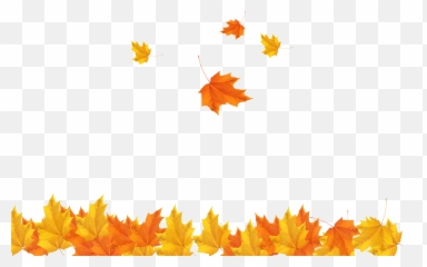 Autumn Leaf Clip Art - Transparent Background Autumn Leaves Png Emoji,Emoji Leaves And Beer